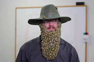 Beard of Bees Costume