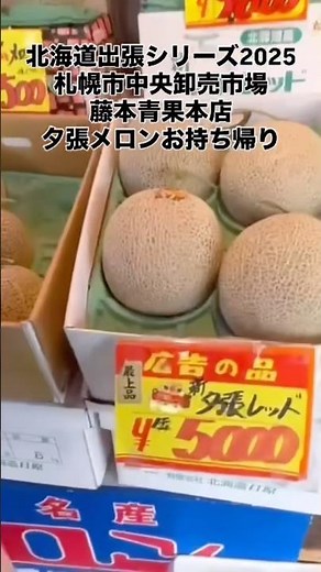 Hokkaido Business Trip Series 2025: Sapporo Central Wholesale Market, Fujimoto Seika, Souvenirs a...