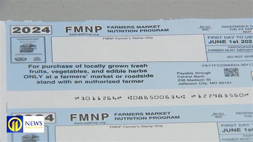 11K views · 45 reactions | The Senior Farmers Market Nutrition Program is working to make fresh fruits and vegetables accessible to people 60 and over through vouchers that are redeemable at farmers markets or roadside stands>>> wpxi.tv/3ySMHvC | WPXI-TV Pittsburgh | Facebook