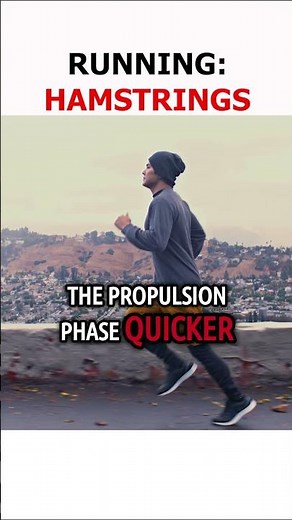 What do the Hamstrings ACTUALLY do when you RUN?