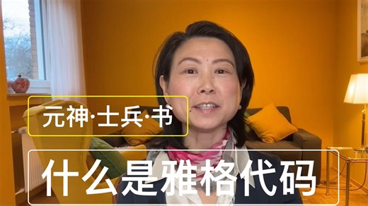 什么是雅格代码？