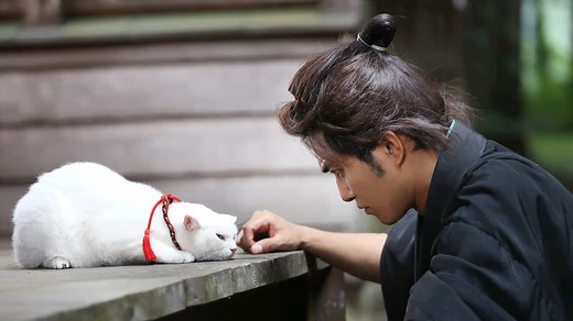 映画 猫侍 - シーズン1 - 映画 猫侍 (映画) | 無料動画・見逃し配信を見るなら | ABEMA