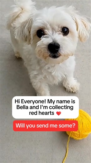 28K views · 3.2K reactions | Will you send me some ❤? | Pawsitivity Life | Facebook