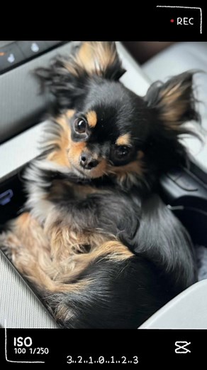 Xxoo | Isabella Christy Chi Page