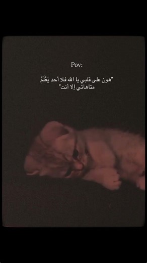 "هون على قلبي يالله فلا آحد يعلم #متاهاتي ألا انتَ#duet #اكسبلور #لايك #تمهيدي #امتحانات