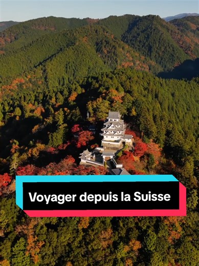 🇨🇭 Amis Suisses, ne réservez pas vos vols pour le Japon au hasard ! 🇯🇵 Quand on prépare un tel voyage, le vol représente une part énorme du budget. En tant que Travel Planner Japon, je passe mes journées à éplucher les meilleures options pour mes clients. 👇 Tu prévois un voyage au Japon prochainement ? Commente le mot VOL sous cette vidéo, et je t'envoie un message privé pour t'aider à organiser l'itinéraire parfait ! #japon #suisse #tokyo #kyoto #voyageaujapon