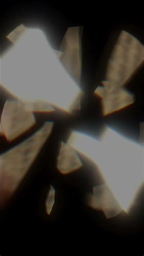 The best needle felter ??#facts