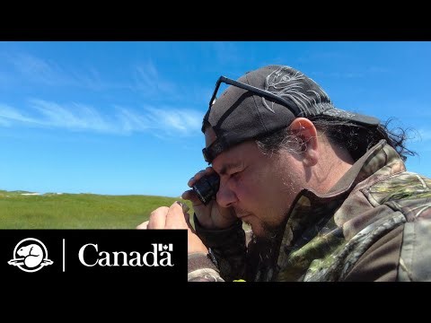 Sweat Bees and Stories | Field Notes | Parks Canada