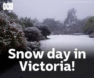 3.3K views · 98 reactions | What a beautiful day we've had in Victoria ❄ Hope you've got a heater or fire to keep you warm tonight as the temperature dips - thanks for sharing your experience of the snow with us today! : Yuliya W., Kylie S., Steve L., Kylie C., Dean W., Trudy N., Jackie J. | ABC Central Victoria | Facebook