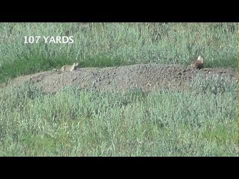 Wyoming Prairie Dog Hunt .22 Long Rifle Episode 2