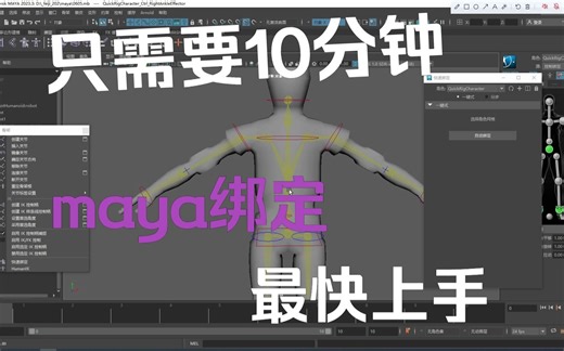 maya简单演示快速绑定与humanik绑定