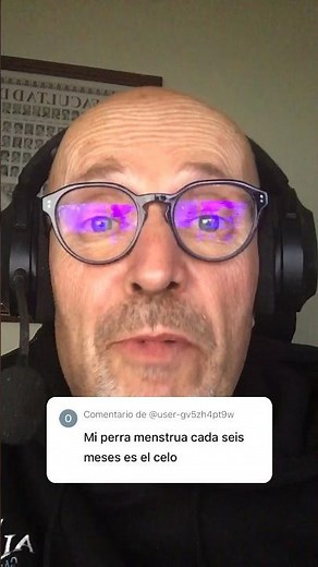 VÍDEO RESPUESTA: ¿CADA CUANTO SE DA EL CELO EN LAS PERRAS?