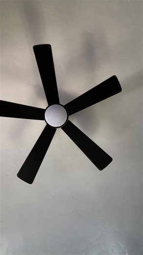 Casting a spell so you can survive dry January! #2026 #dryjanuary #catsoftiktok #spell