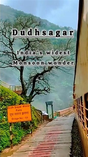 🌊 Dudhsagar Waterfall – One of India's Widest Monsoon Waterfalls 🇮🇳 #Shorts