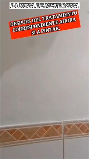 How to paint a wall with saltpeter