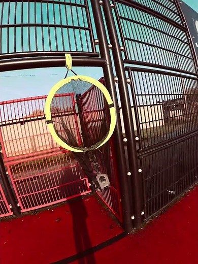 Football Challenge #goals #target #soccerplayer r