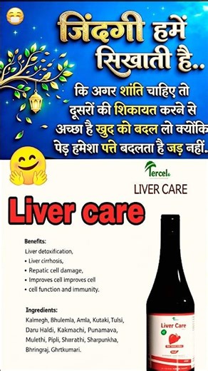 Benefits of liver care | TercelGuideShashi