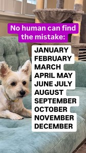 Fun tough puzzle #reels #puzzle | The Puzzle Couple