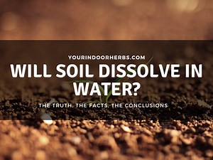 Will Soil Dissolve in Water? (Plus Ways to Discard It!) | Your Indoor Herbs and Garden