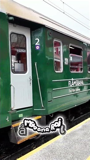 Flåmsbana 🇳🇴 | Norway in a Nutshell | One of the World's Most Scenic Railways#shorts