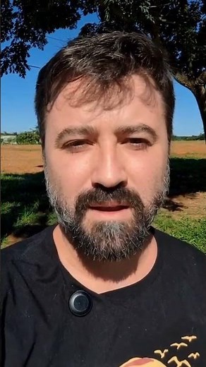 Polímata: a habilidade que vai te colocar à frente de todos