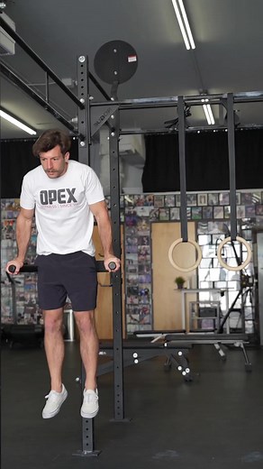 13 reactions | Both the Ring Dip and Bar Dip are great exercises for...