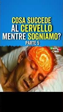 What Happens to the Brain When We Dream?