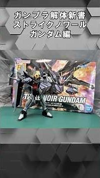 [ガンプラ解体親書]リヴァイブしたら絶対化ける‼‐HG ストライクノワールガンダム#ガンプラ#ガンダム#ガンダムSEED#ストライクノワール#スターゲイザー