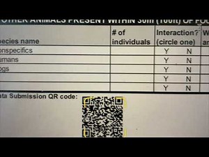 Squirrel Net: Data entry and access for instructors