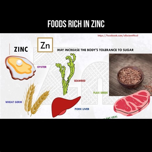 Foods rich in zinc