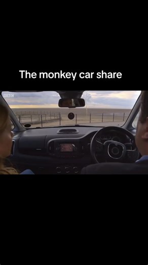 The Monkey Car Share