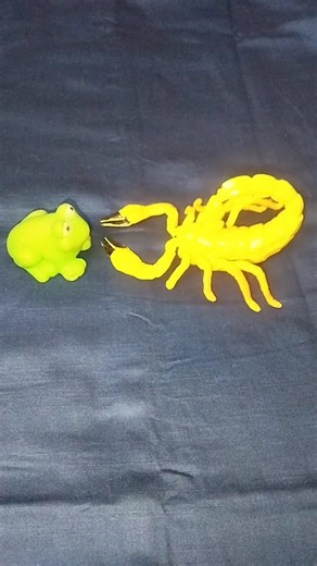 Tree frog and lizard boing funny | Funny Bullfrog and Toad | fun froggy