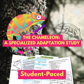 Chameleon Animal Study | Science Literacy & C.E.R. Lesson | Choice Board