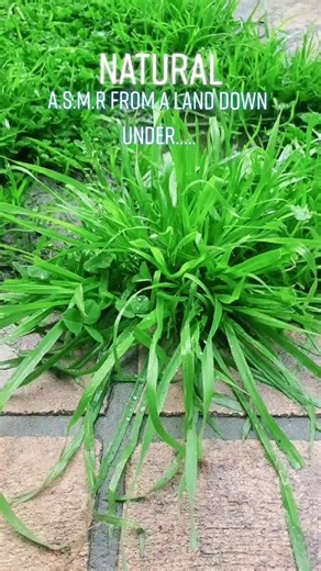 #moonlight_whispers_asmr #australia #rainasmr #mentalhealth #positivevibes #relax #safespace #asmr