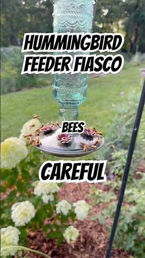 Hummingbird feeder disaster. Bees everywhere.