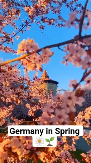 Germany in Spring 😍 #deutschland #sorts #germany
