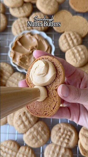 Sourdough Nutter Butters #sourdoughrecipe #peanutbutter #nutterbutter #baking #cookie