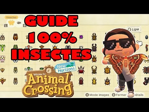 GUIDE COMPLET DES INSECTES - ANIMAL CROSSING NEW HORIZONS