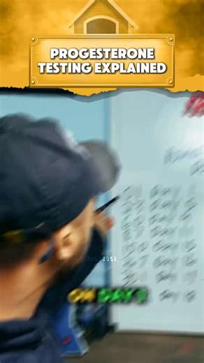 18 reactions | @doublemusclelinebulls Explains progesterone testing and when to do when Ai, TCI, or Surgical insemination. What are your thoughts? | DogHouse App | Facebook