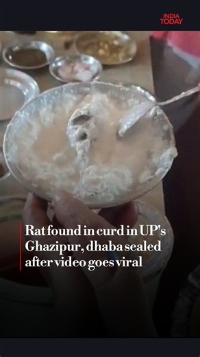 India Today on Instagram: "A shocking incident at a well-known restaurant in Ghazipur exposed serious lapses in food safety and hygiene, prompting the district administration to seal the establishment. The action followed the circulation of a viral video in which a customer claimed to have found a dead rat in a plate of curd while eating at the restaurant. The video, which quickly spread across social media, shows the restaurant operator confronting staff members over the incident. The disturbin