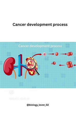 first' video to know cancer development process