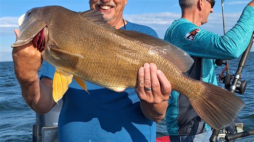 Several hundred sheepshead die along shores of Lake Erie. Here's why