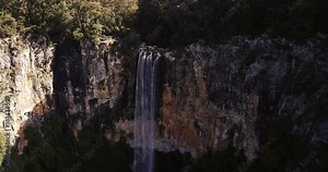Purling brook Falls at Springbrook National Park in Queensland Stock Video