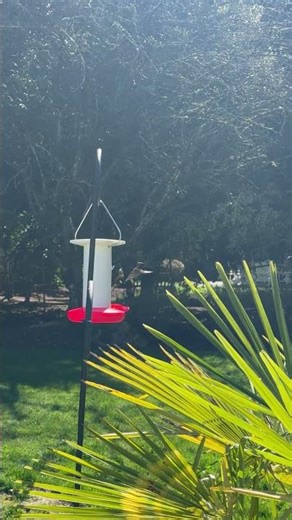 Seattle Spring is Here!