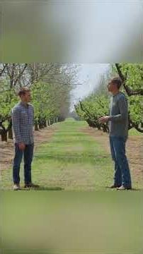 What's the First Thing an Agronomist Does With a New Client?