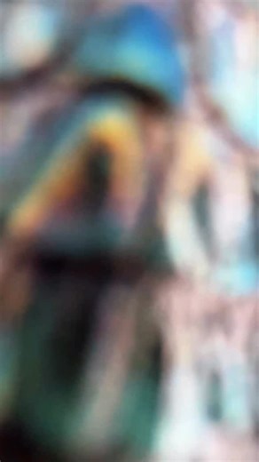 Mexican Alligator Lizards (Abronia graminea) We haven’t seen these guys in a while. And we have some stunning Captive bred individuals for sale right now ! If you’ve ever seen an alligator lizard in the U.S. then you can see the very resemblance to their tree dwelling cousins💚 . . . . #reptiles #lizards #herpetology | LLLReptile & Supply