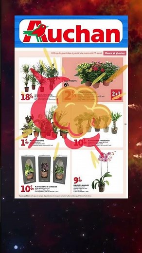 AUCHAN Catalog from 08/26/25 to 09/07/25 Auchan Flyer Good Deals Promos #auchan #auchan_france