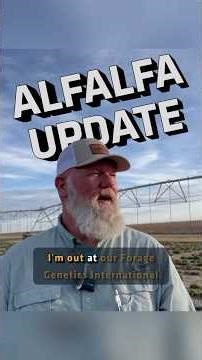 Did the Freeze RUIN This Alfalfa Crop?