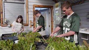 311K views · 3.6K reactions | Do you grow the greens you eat for lunch? These high schoolers do. | Edutopia | Facebook