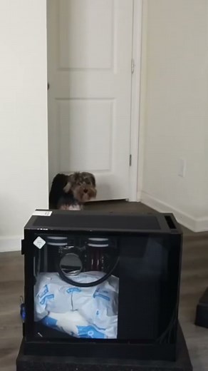 Unboxing My CYBERPOWERPC 💪🏽